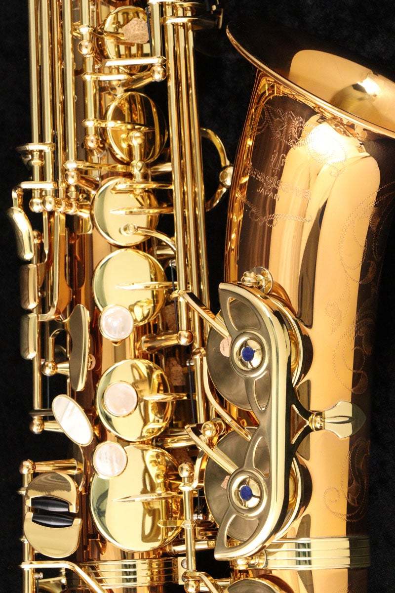 YANAGISAWA Alto A-WO20 SN.004xxxxx アルトサックス 【ウインドパル