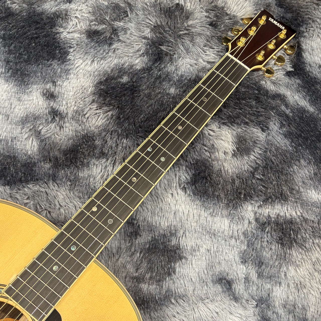 YAMAHA LL16 ARE（新品/送料無料）【楽器検索デジマート】