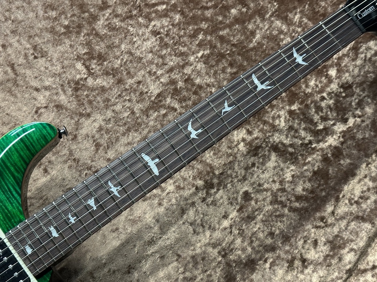 Paul Reed Smith(PRS) SE Custom 24 -Emerald Green- ≒3.438Kg 2026年