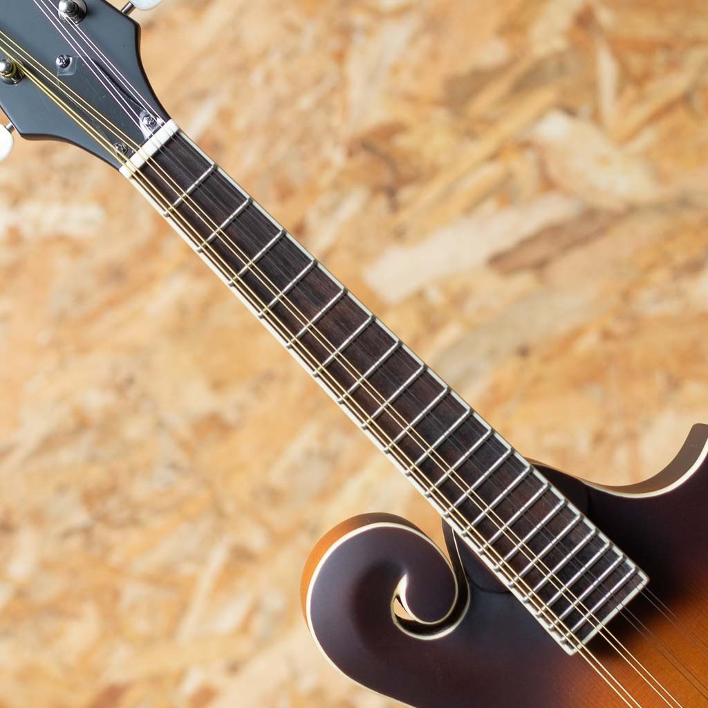 Epiphone Inspired by Gibson F-5 Studio VS（新品）【楽器検索