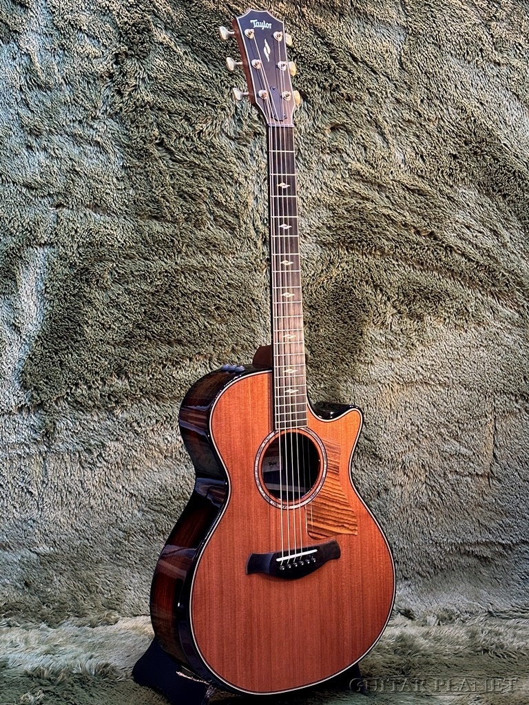 Taylor 【Taylor 選定品‼】50th Anniversary Builders Edition 812ce LTD  #1207224067【48回迄金利0%対象】（新品/送料無料）【楽器検索デジマート】