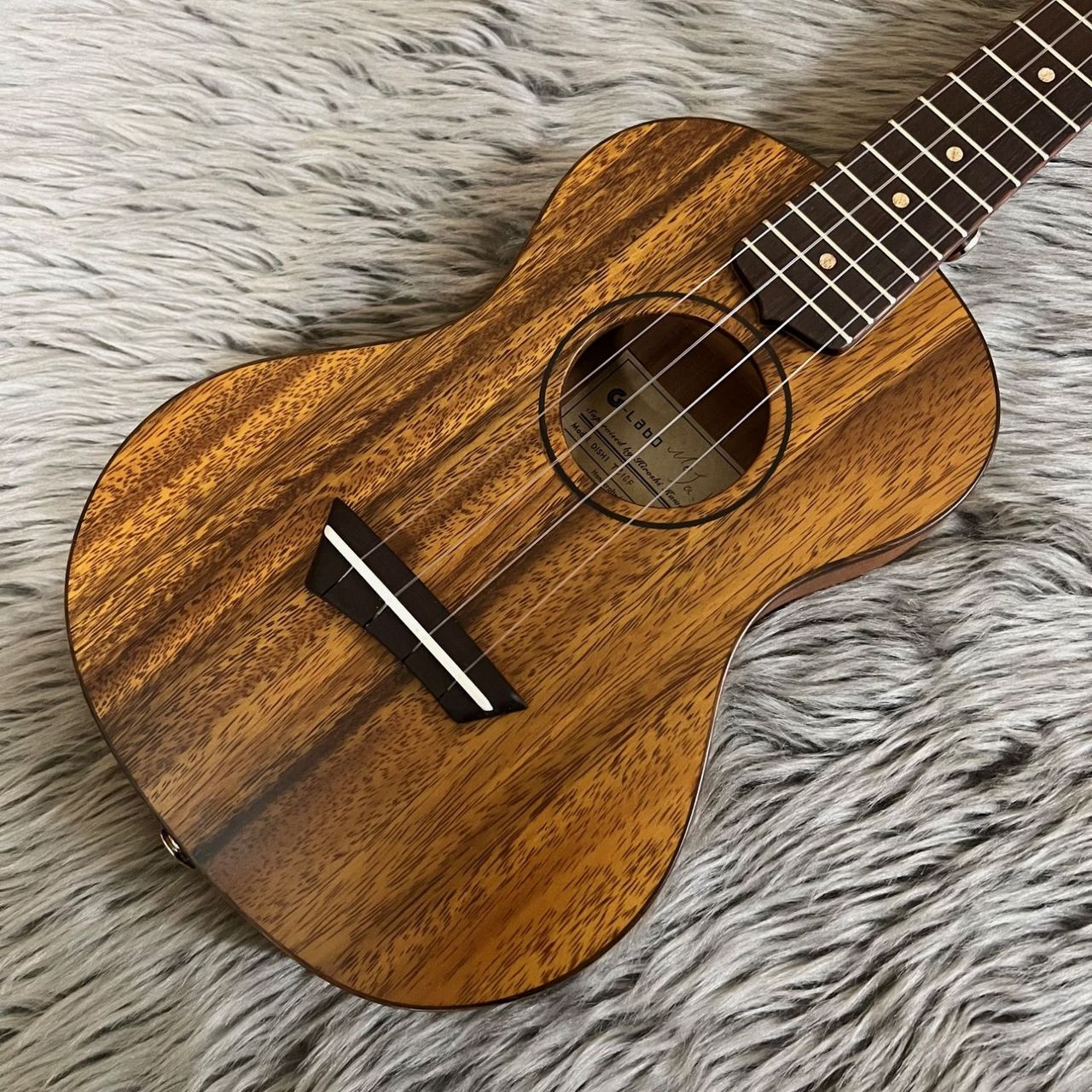 G-LABO DISH-1TC16F コンサート【ピックアップ付き】【写真現物】