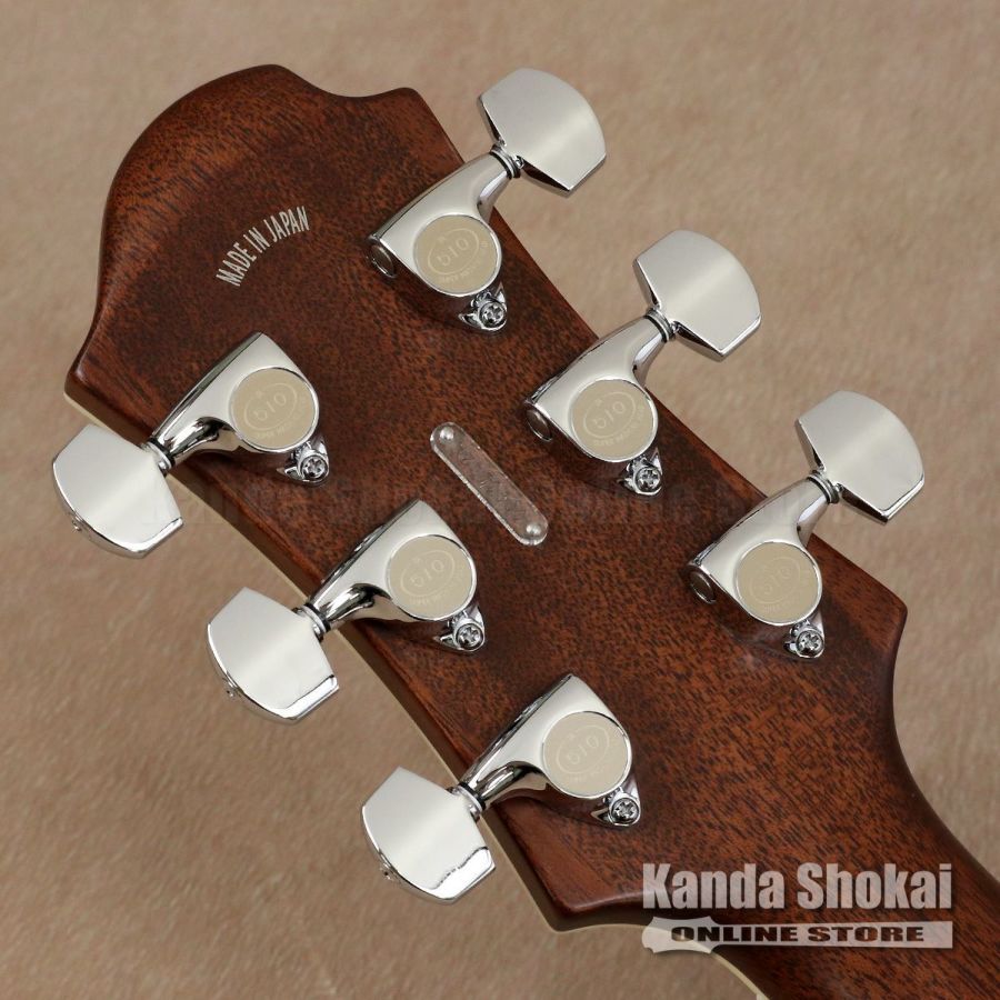 Zemaitis CS24SU CHAMBERLAIN NT（B級特価/送料無料）【楽器検索