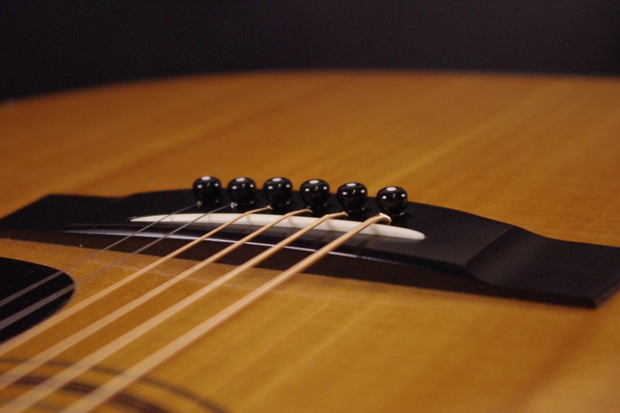 YAMAHA L-5（ビンテージ）【楽器検索デジマート】