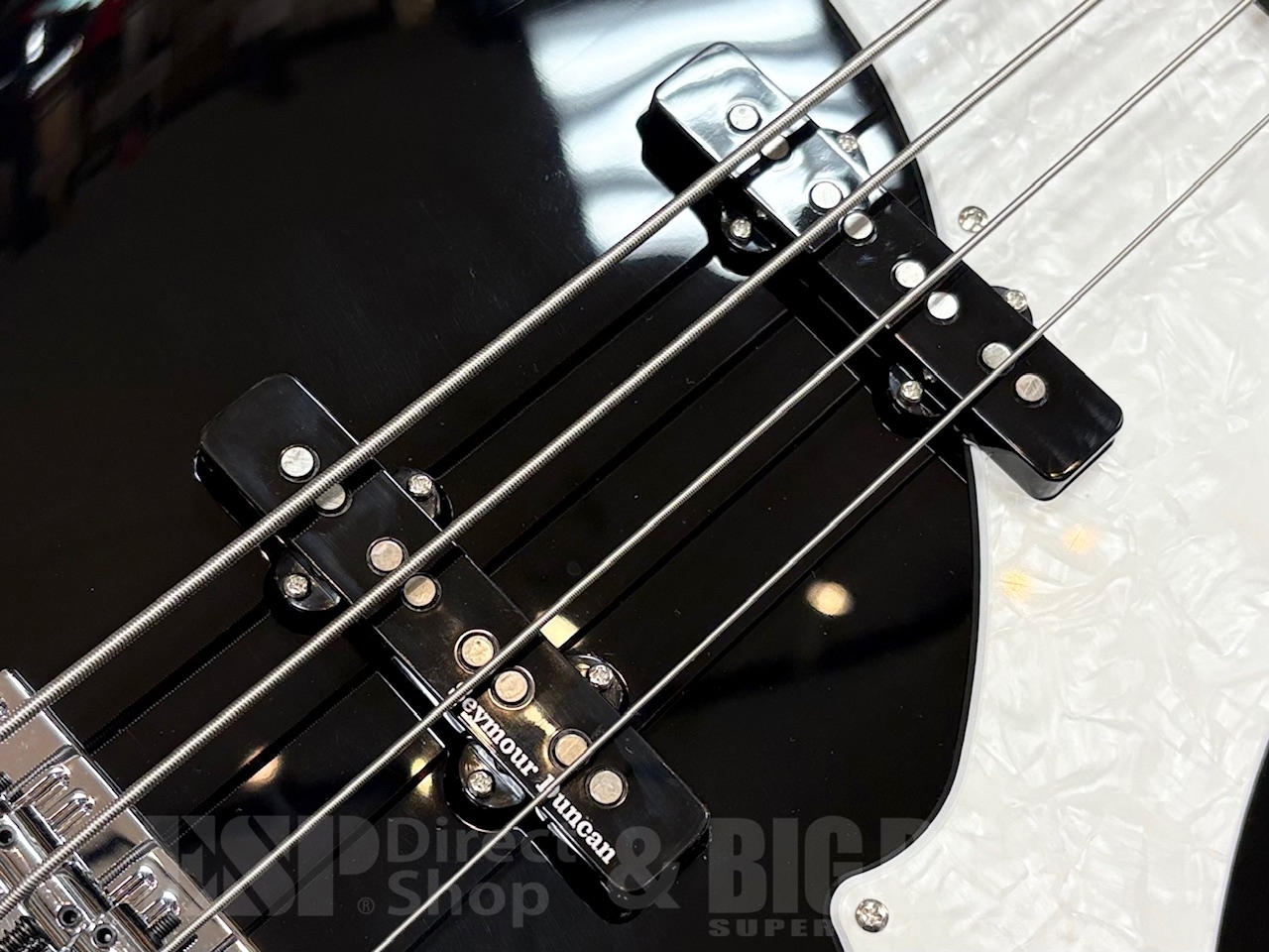 REITA the GazettE Edwards エレキベース EDWARDS E-RF（新品/送料無料）【楽器検索デジマート】