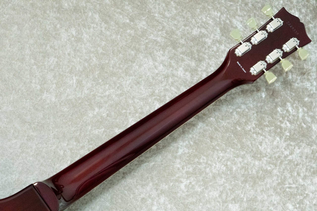 Tokai LS148F -See Through Dark Red / SDR-（新品/送料無料）【楽器検索デジマート】