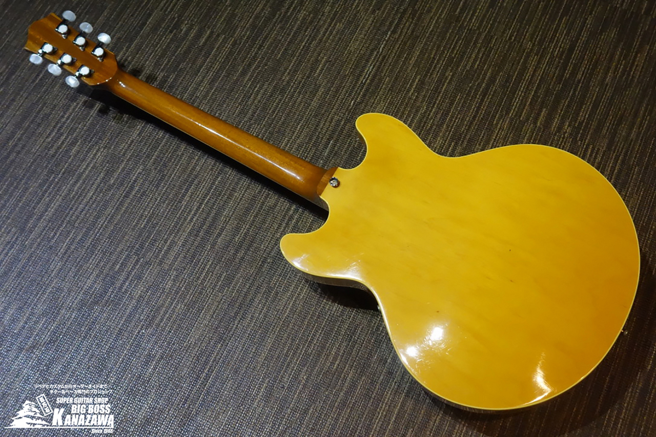 Stafford FES-1200 ハカランダ指板 セミアコ D.Allen Pickups ES-335 タイプ - 楽器、器材