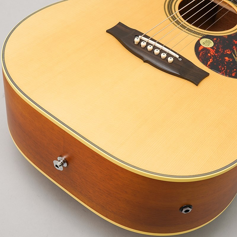 Maton EBG808C TE アコギ美品（ハードケース付き） MATON EBG808C TE - Tommy Emmanuel - メイトン（新品）【楽器
