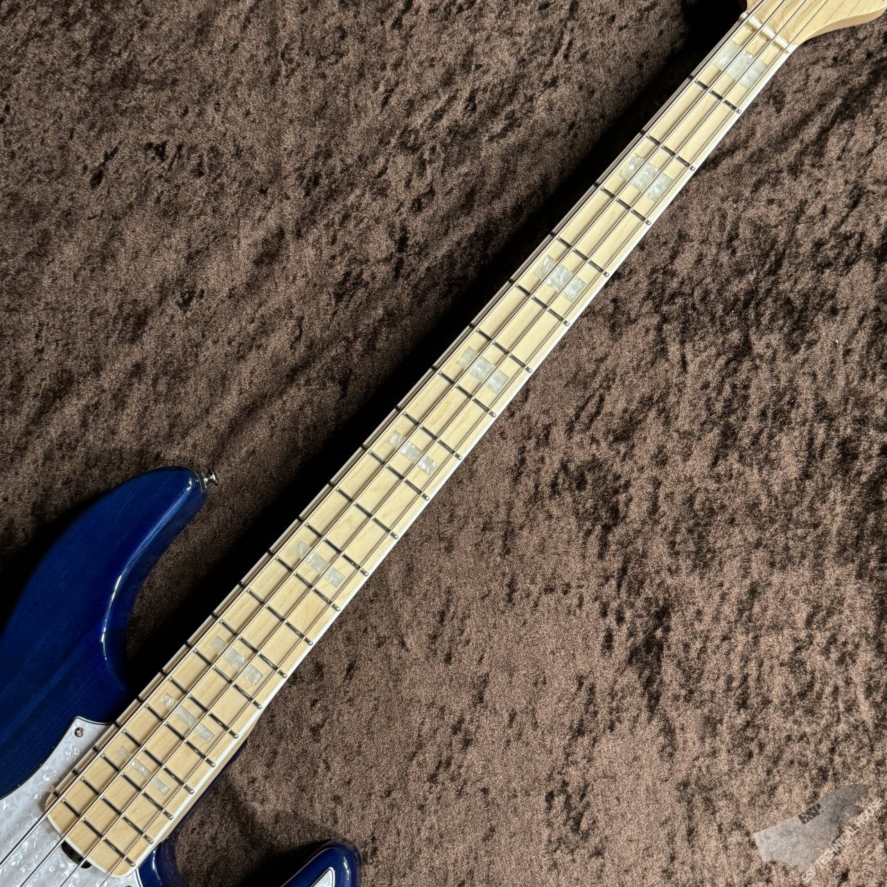 GrassRoots 【初心者セット】G-AMAZE【See Thru Blue】（新品/送料無料