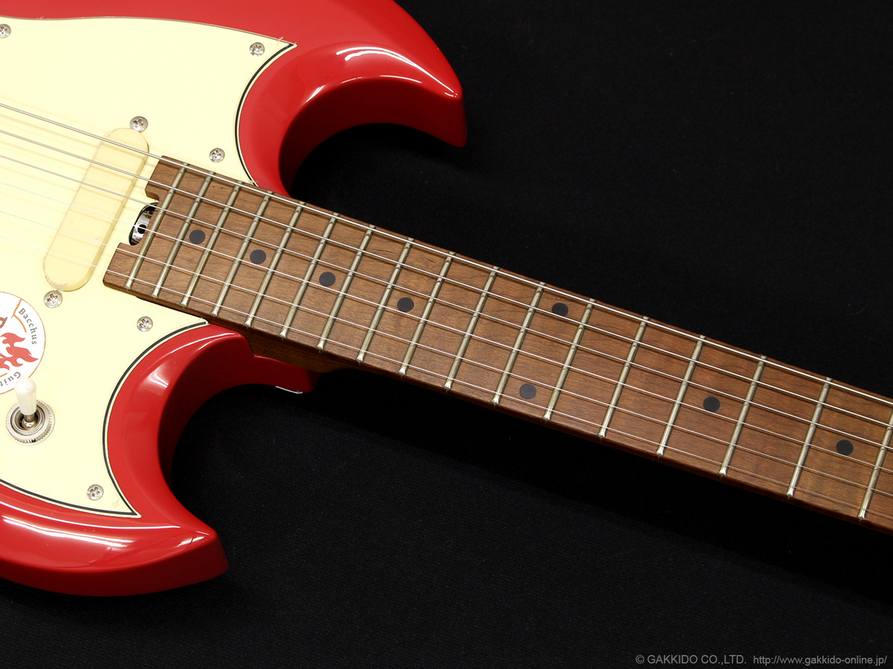 値下げ　BACCHUS BSM-STD/RSM/FR ハードケース別売り 値下げ BACCHUS BSM-STD/RSM/FR ハードケース別売り