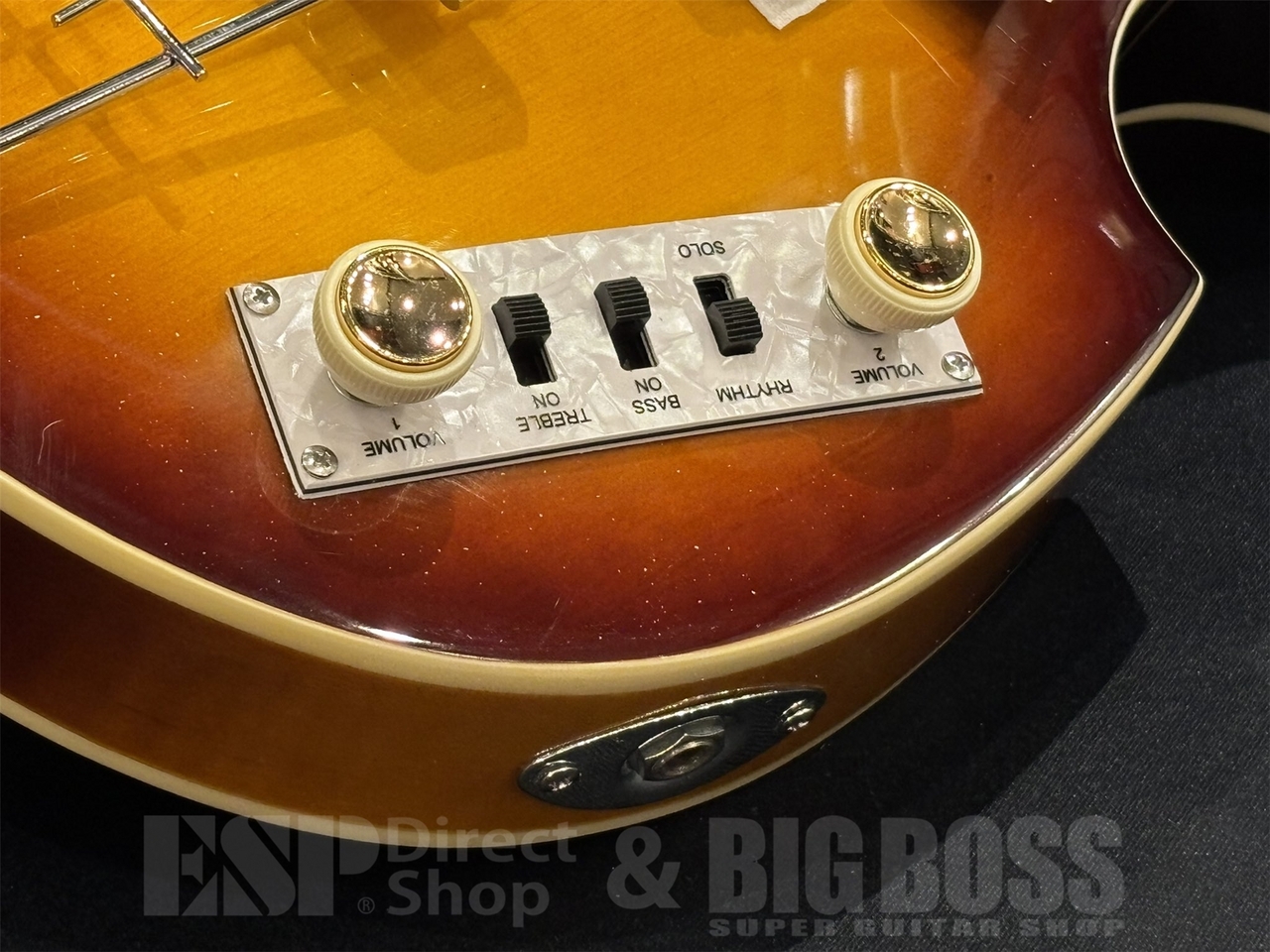 Hofner Violin Bass Ignition Premium Edition（新品/送料無料）【楽器