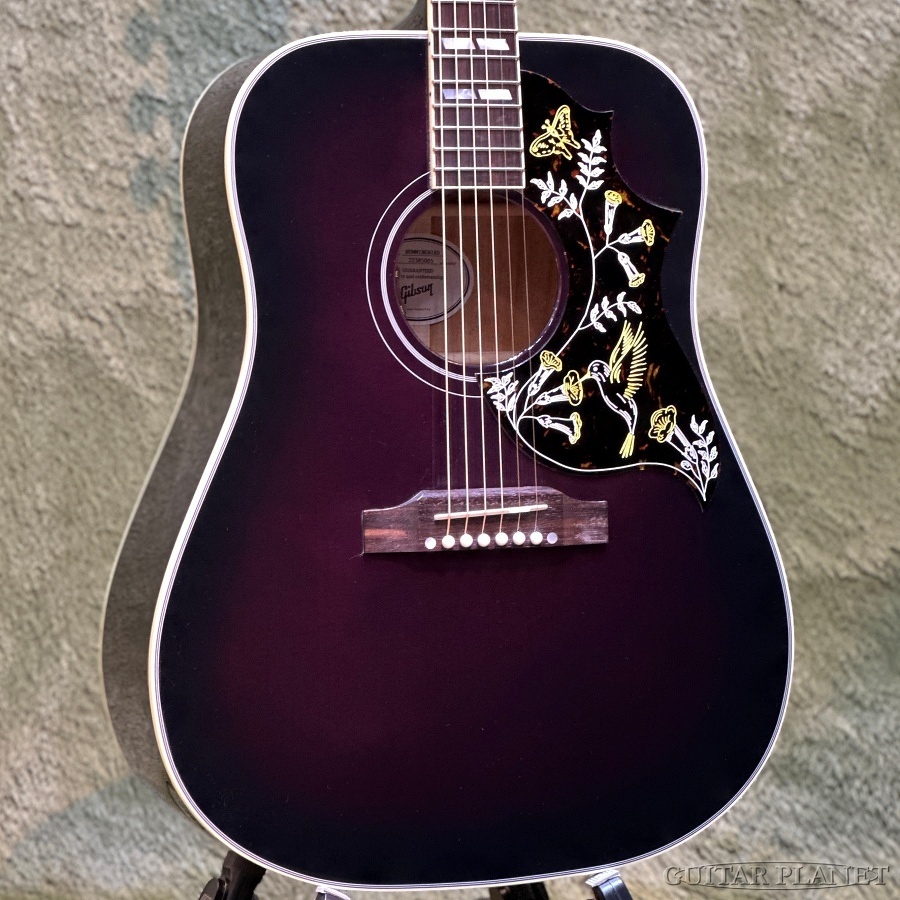 Gibson 【NAZCAケースプレゼント!】Hummingbird Standard -Purple