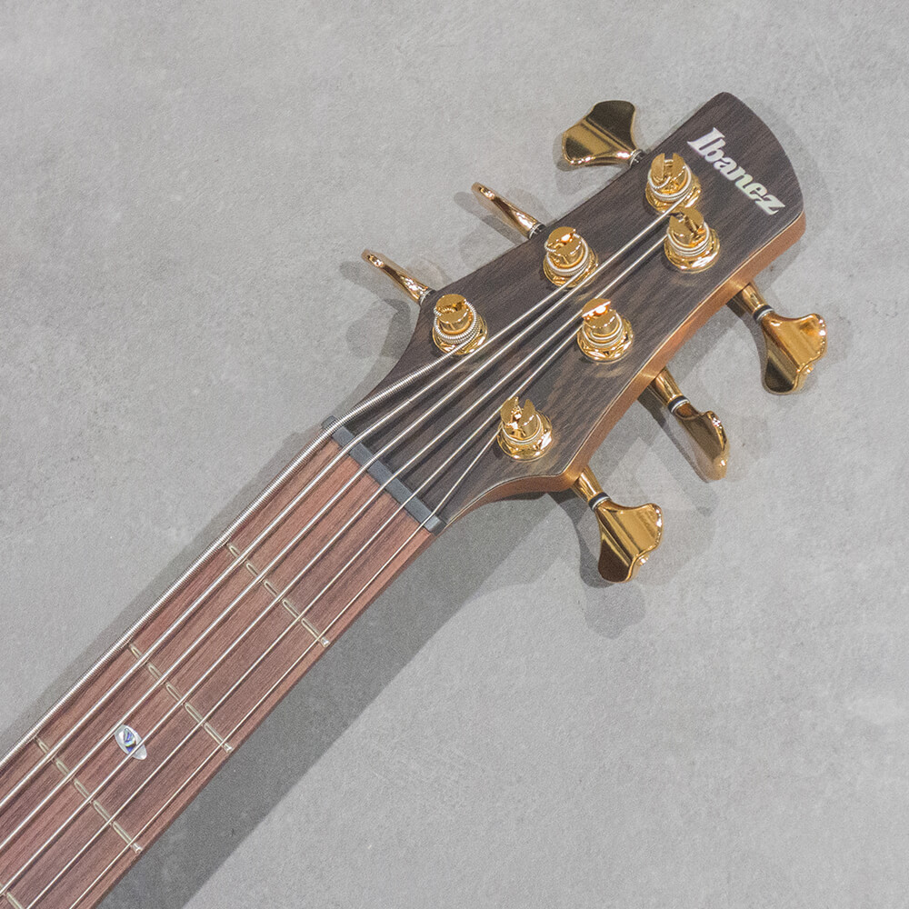 Ibanez SR Prestige SR5506-MHF (Mocha Flat)【WINTER FLAME UP SALE