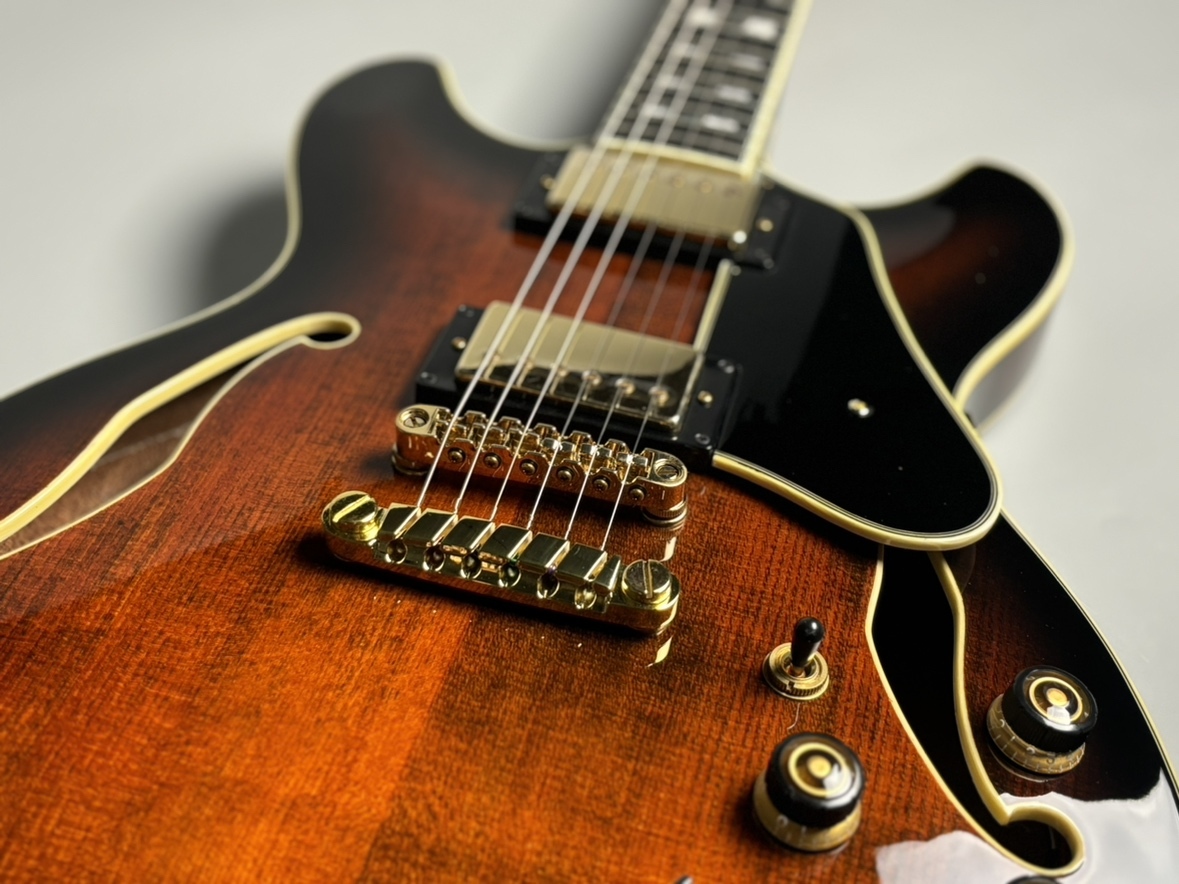 Ibanez AS113B-TBC（新品/送料無料）【楽器検索デジマート】