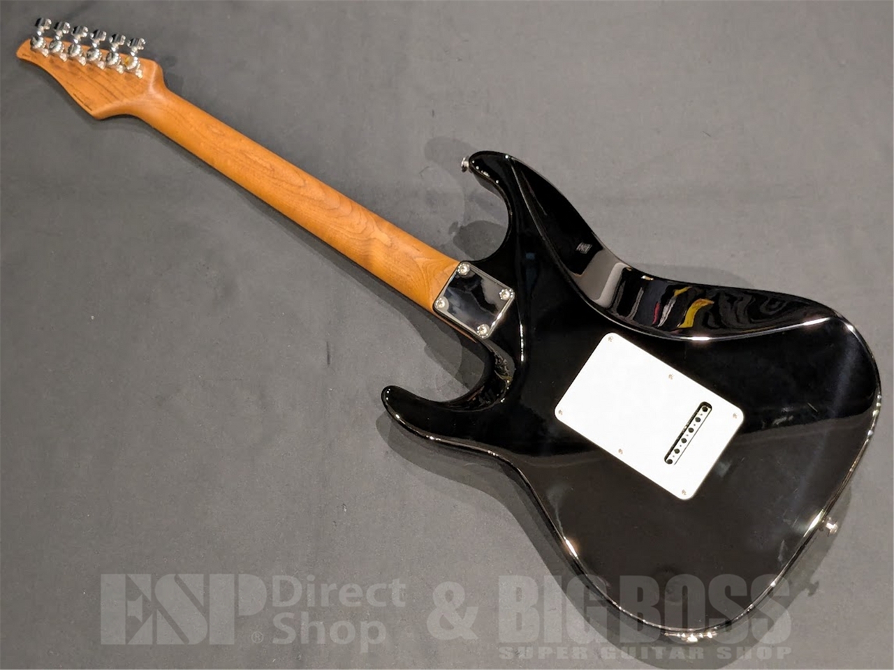 Suhr Standard Plus / Bengal Burst / Pau Ferro 【値上がり前最後の一