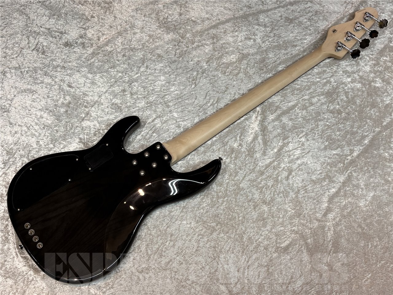 E-II AP-4 (See Thru Black)（新品/送料無料）【楽器検索デジマート】