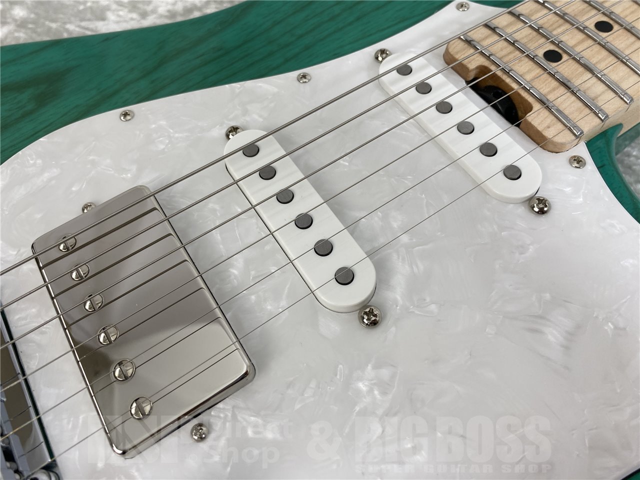 EDWARDS E-SNAPPER-AS/M(Turquoise)（新品/送料無料）【楽器検索