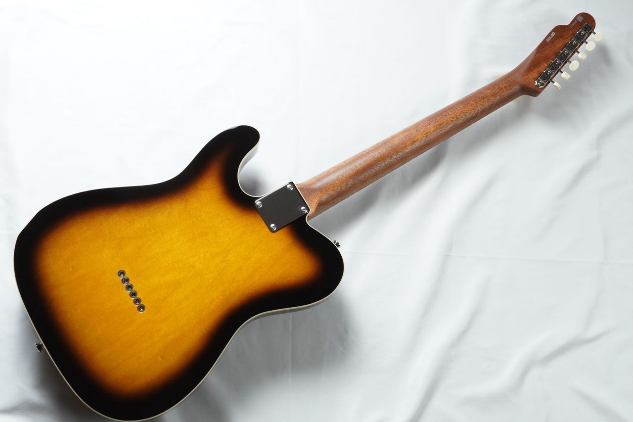 FREEDOM CUSTOM GUITAR RESEARCH C.S.TE Pepper Semi Hollow /2 Tone