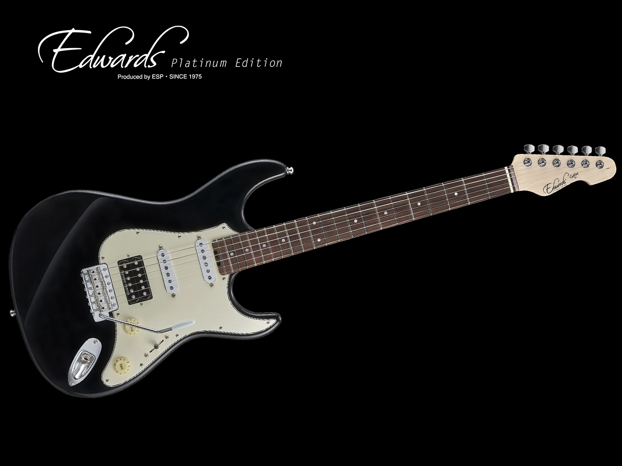 8/31までESP TYG 9mm Parabellum Bullet 菅原卓郎 9mm Parabellum Bulletの滝 善充と菅原卓郎の新しいシグネチュア