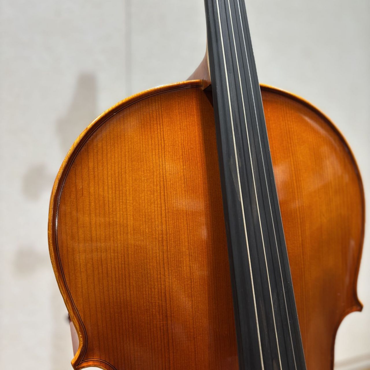 Eastman Eastman VC100 4/4 チェロセット（新品/送料無料）【楽器検索