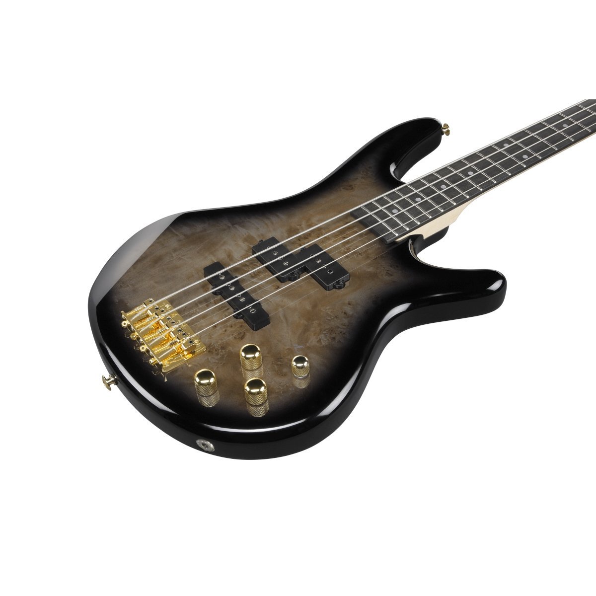 Ibanez Gio GSR200PC-TPB (Transparent Pale Black Burst