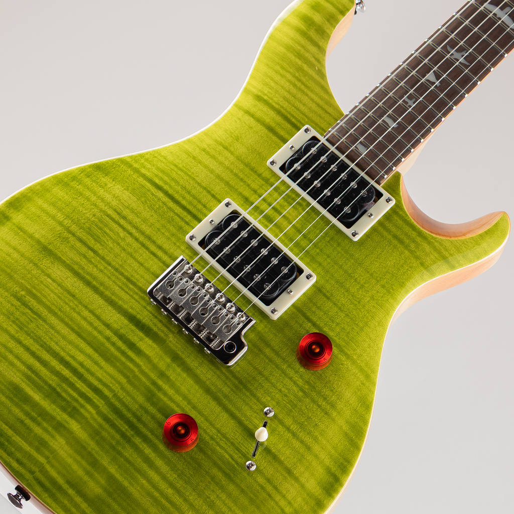 Paul Reed Smith(PRS) SE Custom 24 / Eriza Verde 【2024】CTI