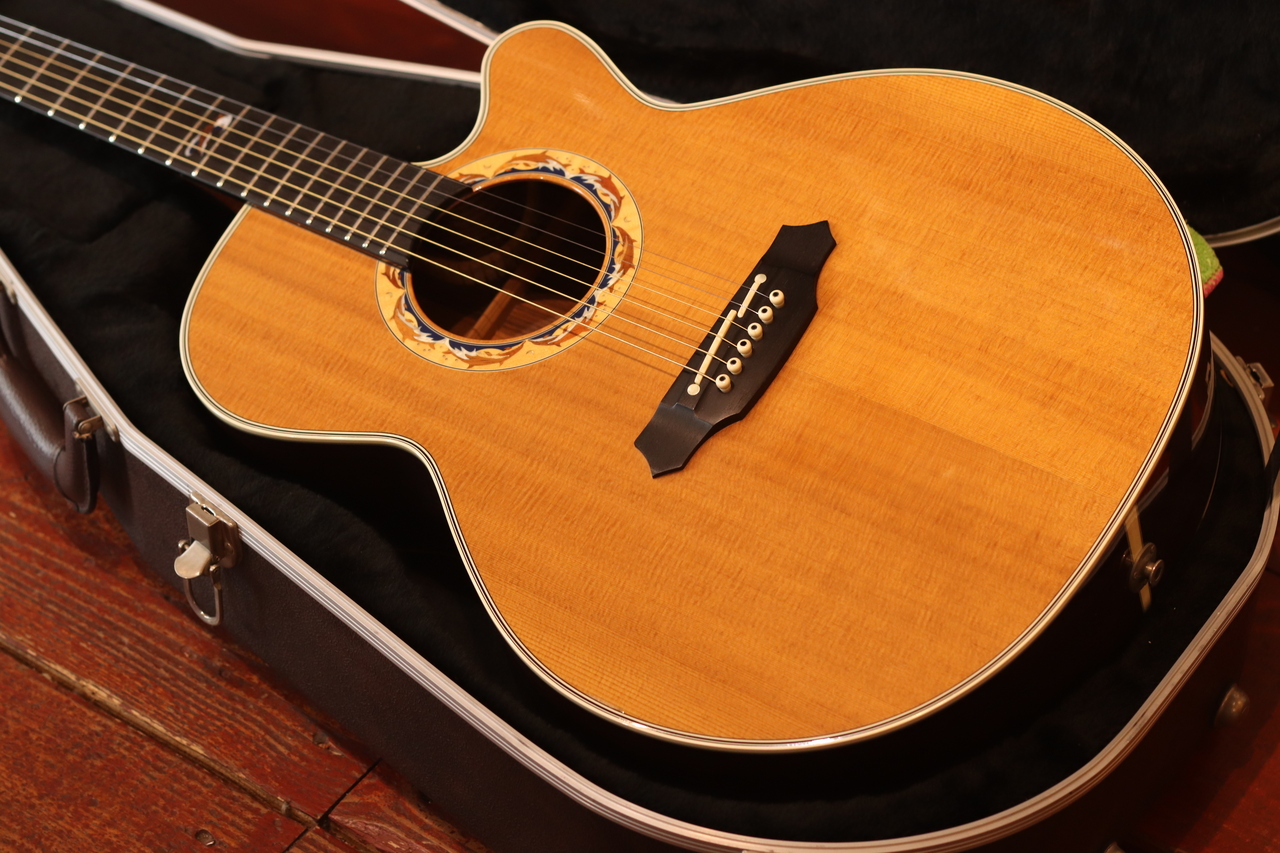Takamine LTD2001 