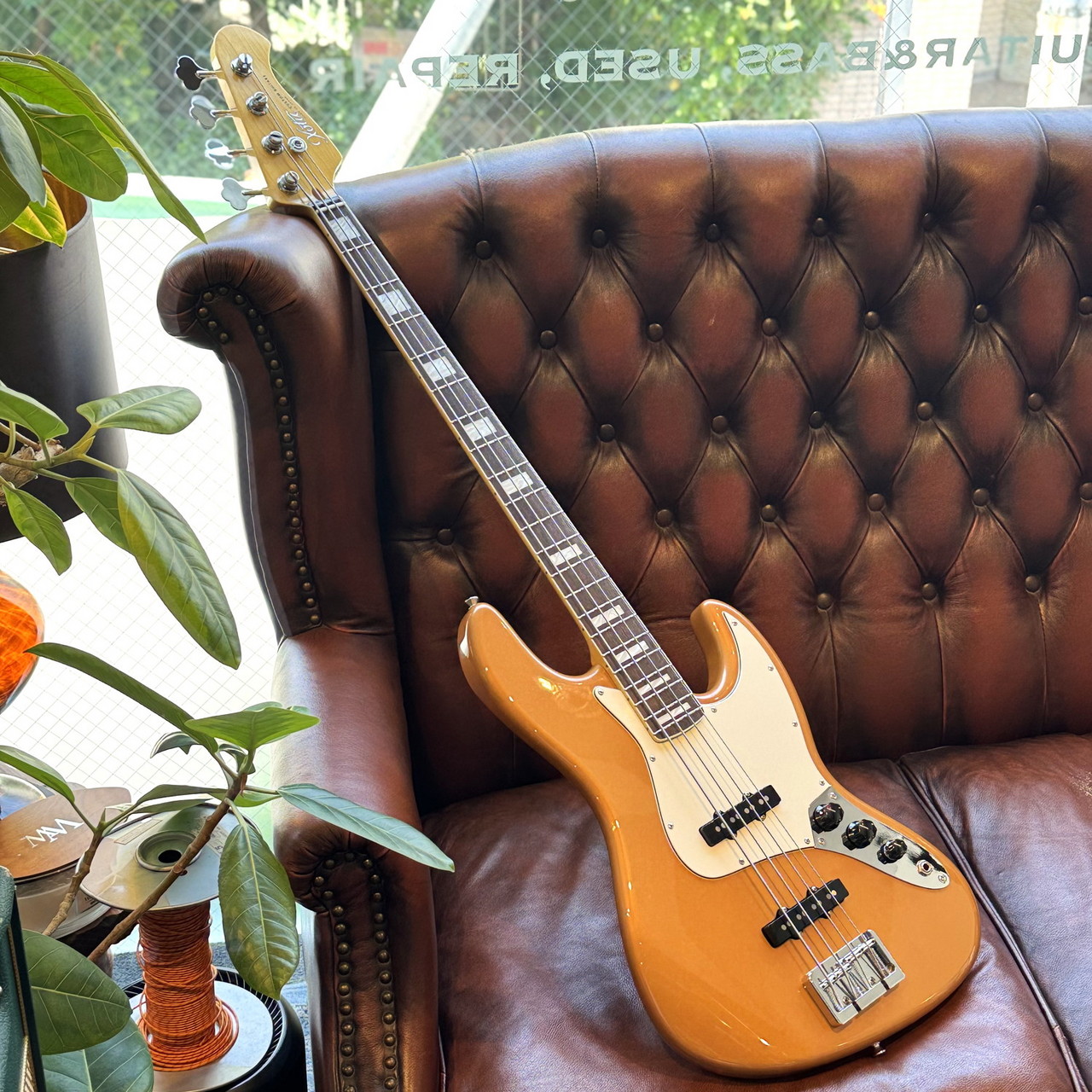 Xotic XJ-Core 4st Firemist Gold #25011（新品/送料無料）【楽器検索