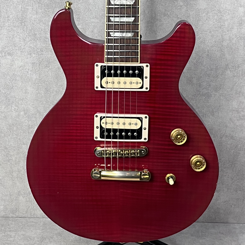 ギター Gibson Les Paul DC Plus mod. Gibson(ギブソン) / LP STD DC Plus mod Les Paul Standard DC