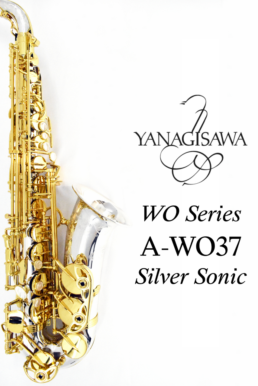 YANAGISAWA A-WO37 