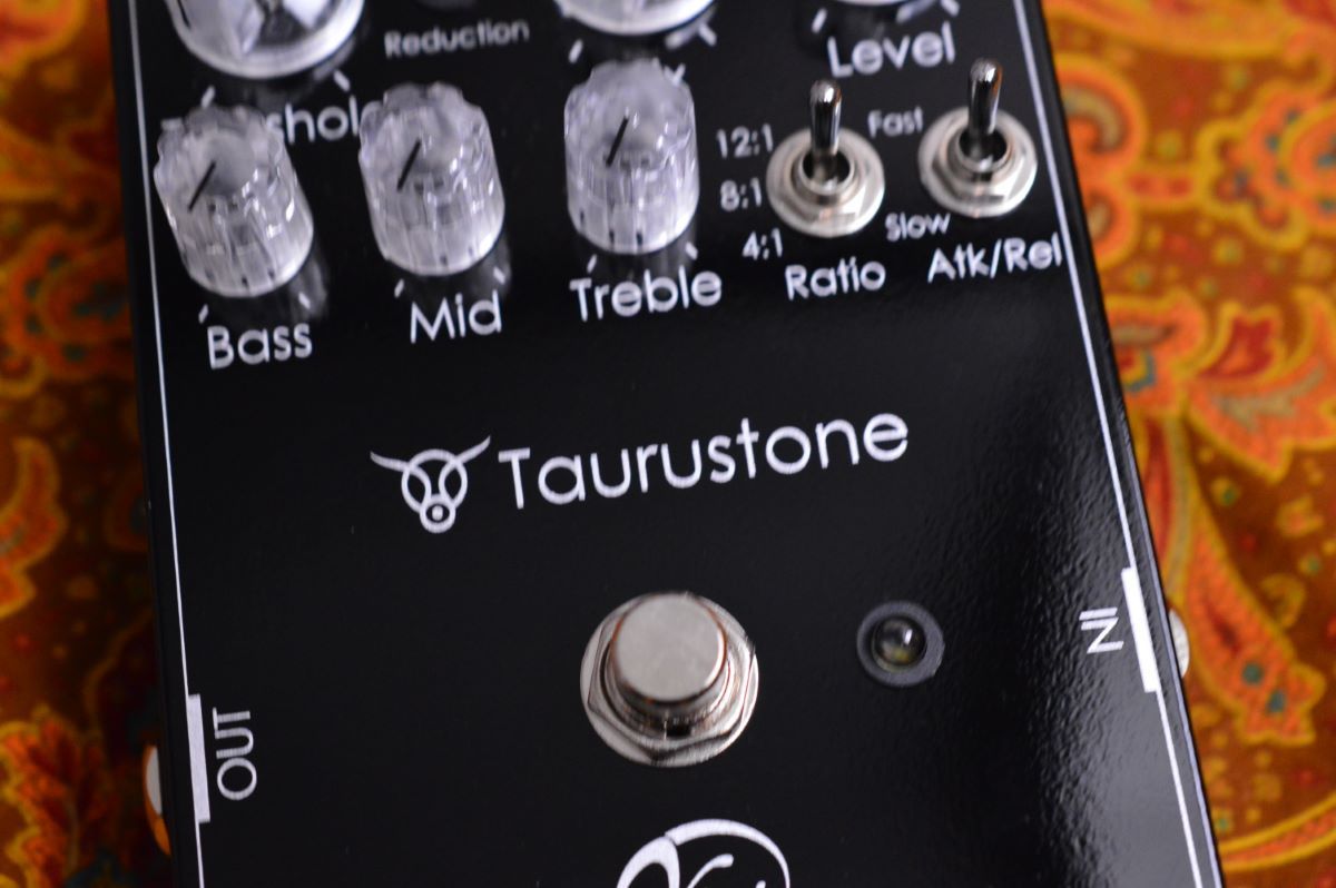 vivie Taurustone bass comp ケース、説明書付き - ベース