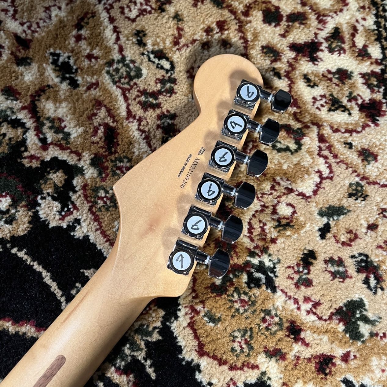 Fender 【現物画像】Player Plus Stratocaster Pau Ferro Fingerboard