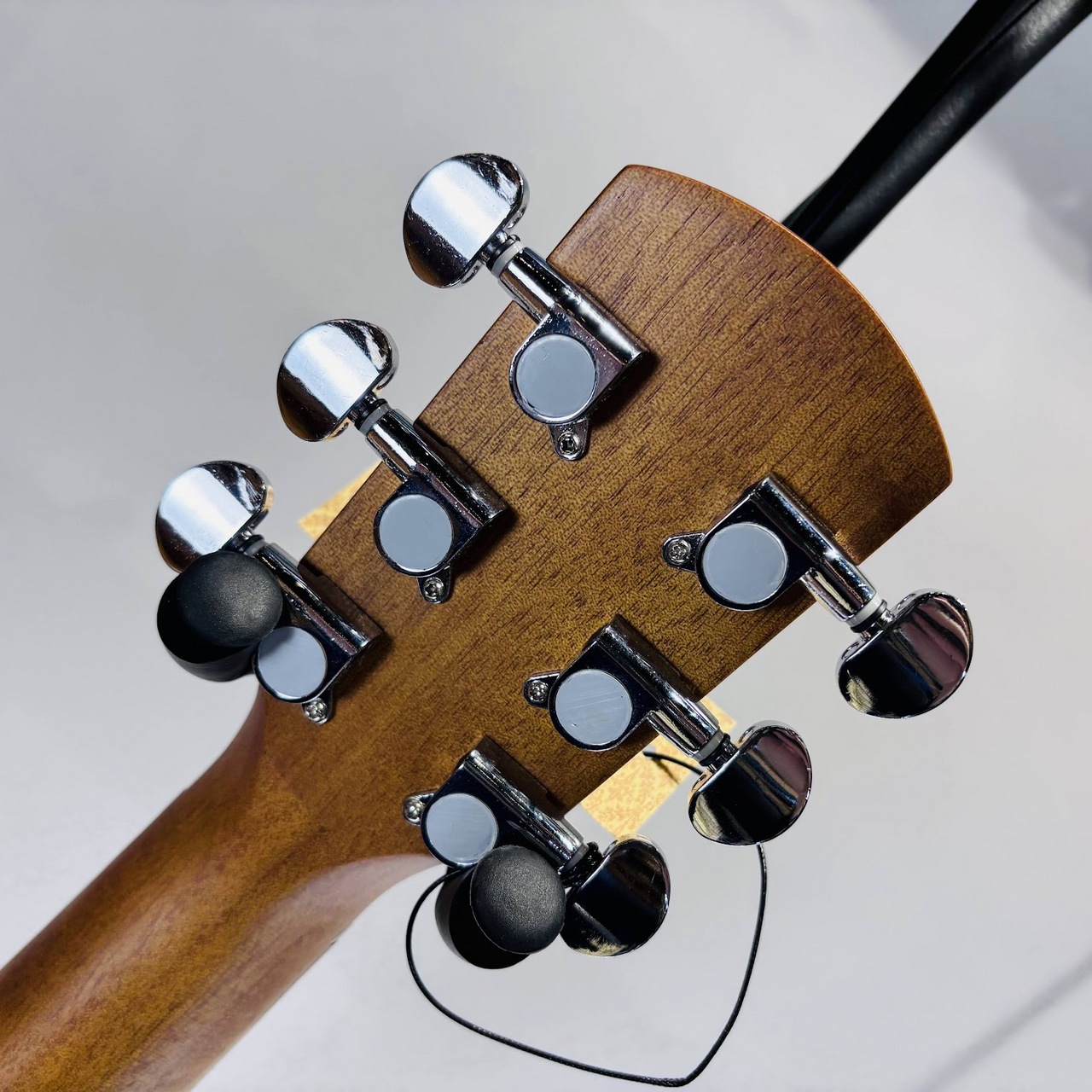 音音 DT1S NTS (Natural Spruce)（新品/送料無料）【楽器検索デジマート】