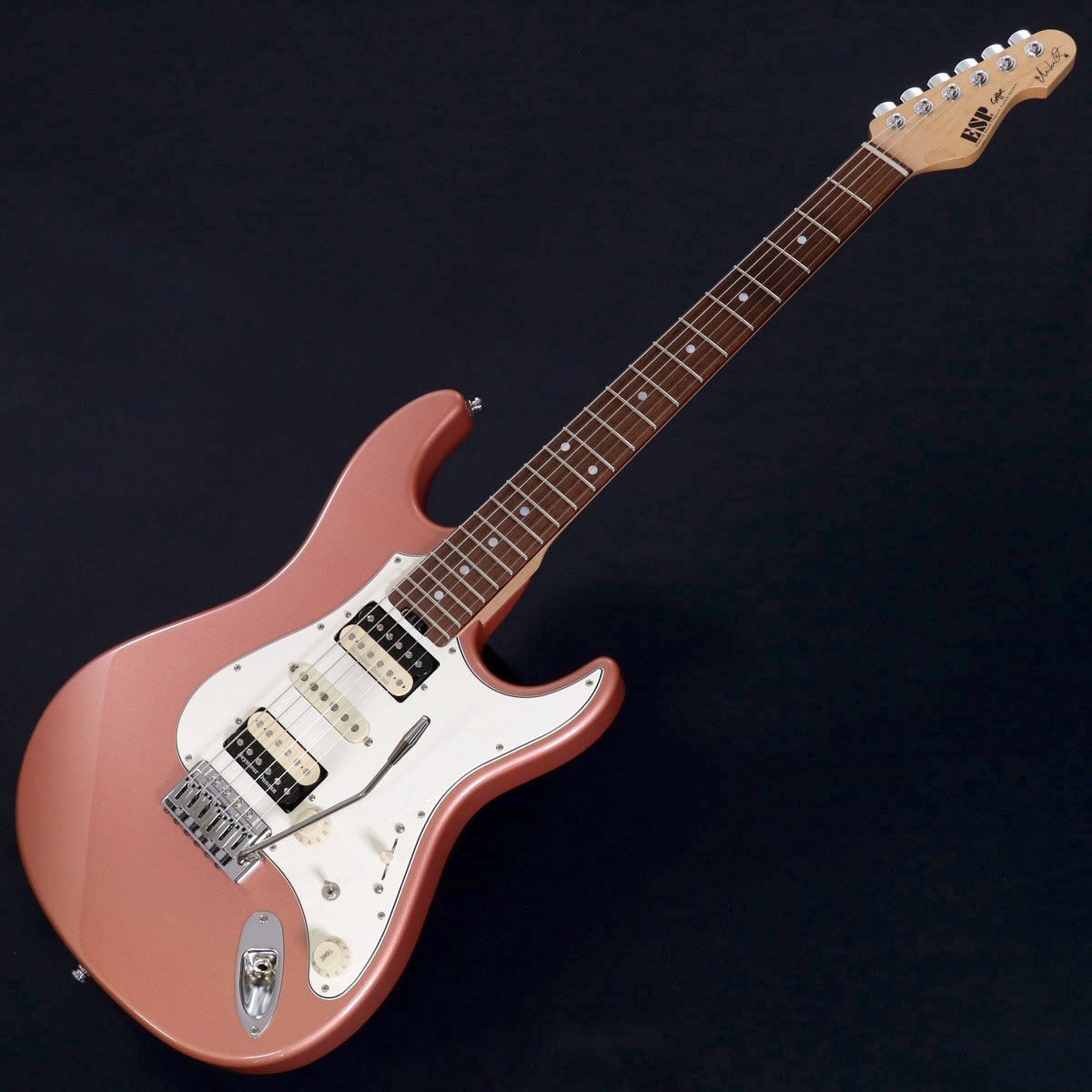 ESP Fujioka Custom 藤岡幹大シグネチャーモデル ※改造点あり ESP Fujioka Custom 藤岡幹大シグネチャーモデル ※改造点あり