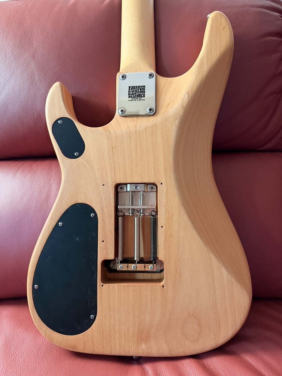 Washburn Nuno Bettencourt Signature Model N2（新品）【楽器検索