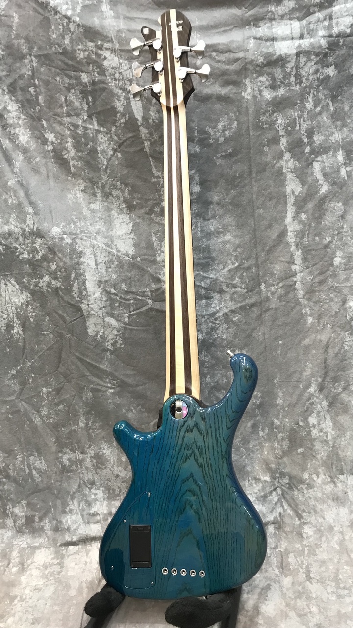Freedom Custom Guitar Reserch F.U.Dulake 5st