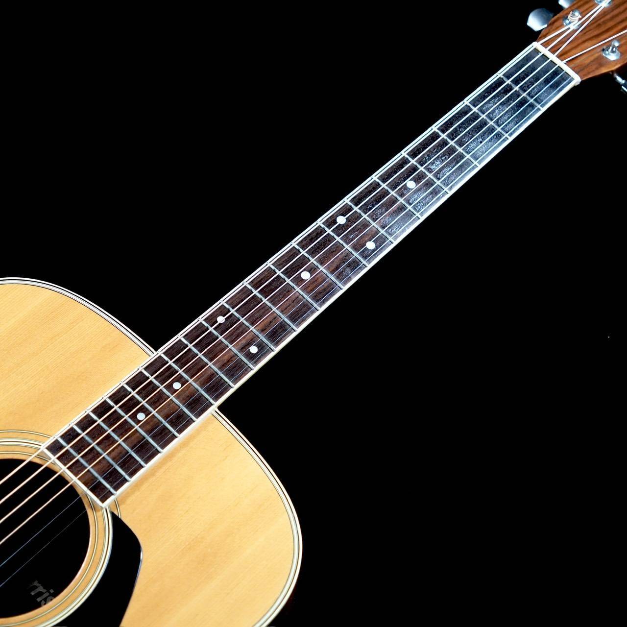 Morris MD-505（中古/送料無料）【楽器検索デジマート】