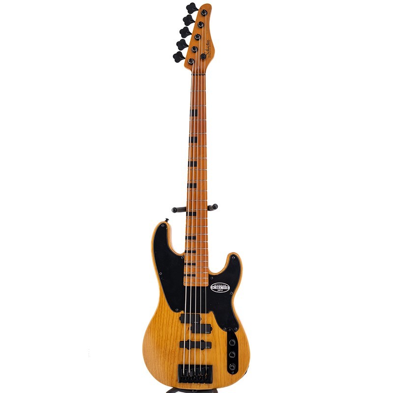 SCHECTER MODEL-T SESSION 5 [AD-MT-SS-5] (ANS) 【春得セール】（新品 