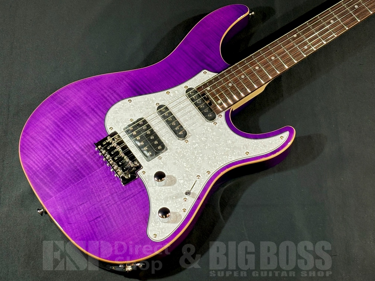 GrassRoots G-SNAPPER-CTM See Thru Purple（新品/送料無料）【楽器