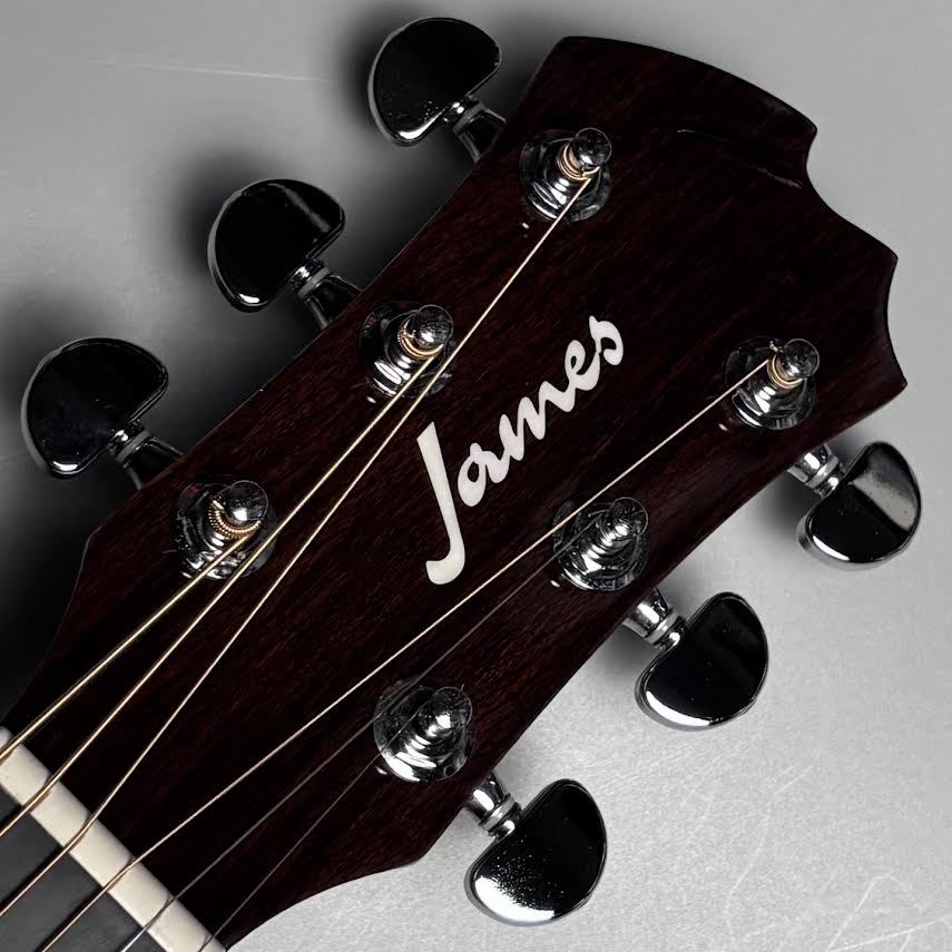 ✦BlueBell W−350ドレッドノートギター　エレアコ仕様！短期限定値下げ ✦BlueBell W−350ドレッドノートギター エレアコ仕様！短期限定