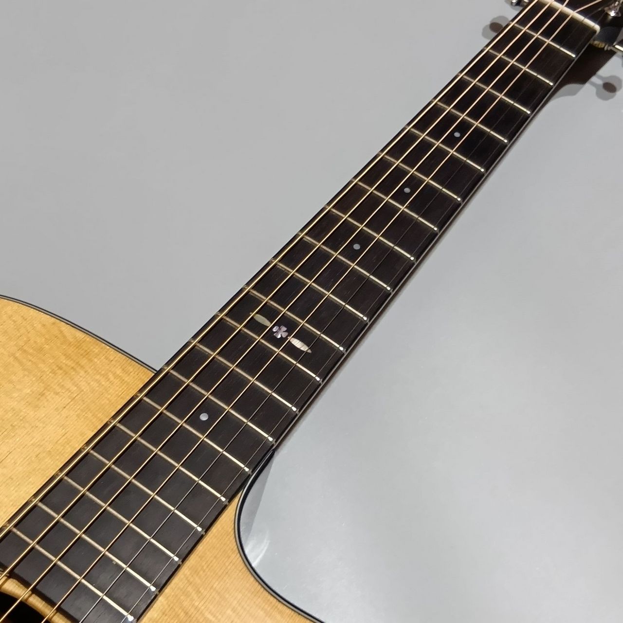 Eastman E1-OMCE-SP エレアコギター／OMCE（新品/送料無料）【楽器