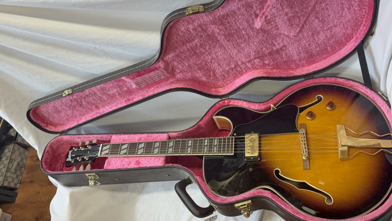 Burny RFA-65（中古）【楽器検索デジマート】