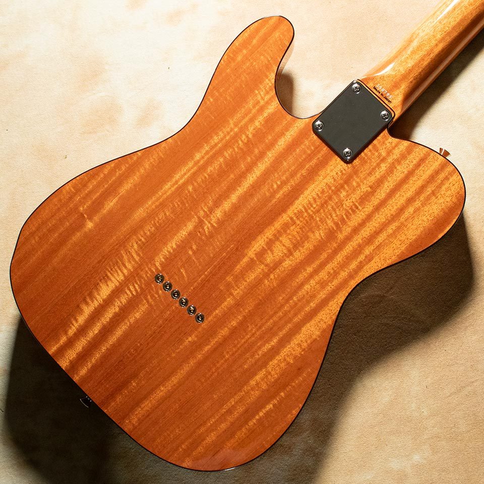 Tokai ATE-103S N/R（新品/送料無料）【楽器検索デジマート】