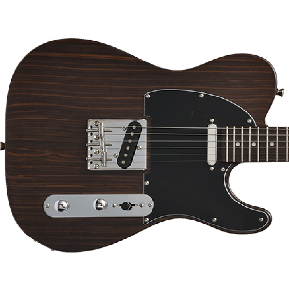 Bacchus BTE-TW NS 美品 Bacchus BTE-TW（新品/送料無料）【楽器検索デジマート】