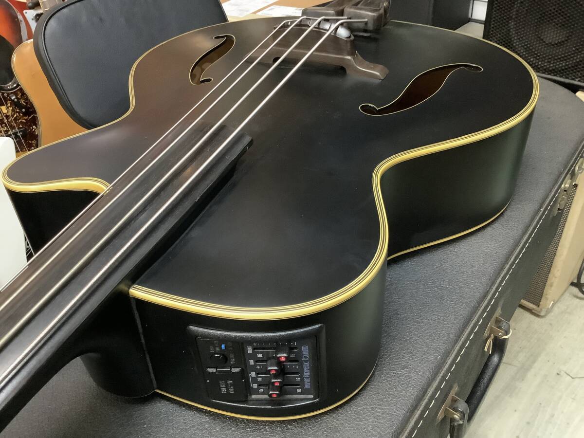 Takamine フレットレス・アコースティックベース B10 タカミネ