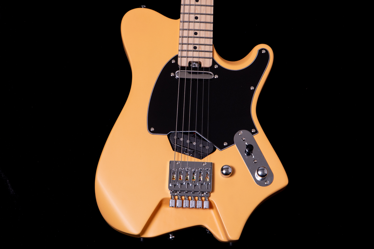 HEX Guitars NT100M S/BSC（新品/送料無料）【楽器検索デジマート】