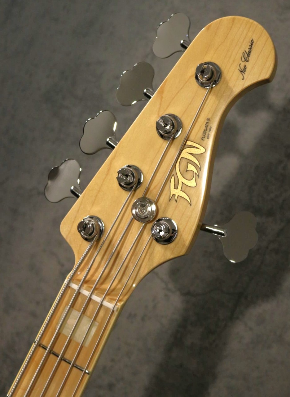 FUJIGEN(FGN) 【限定オーダー5弦ベース】KNJB100MBAHV -Open Pore