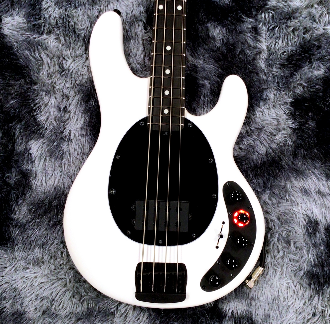 MUSIC MAN Japan Limited DarkRay 4 Bass White / Ebony【特価】【国内
