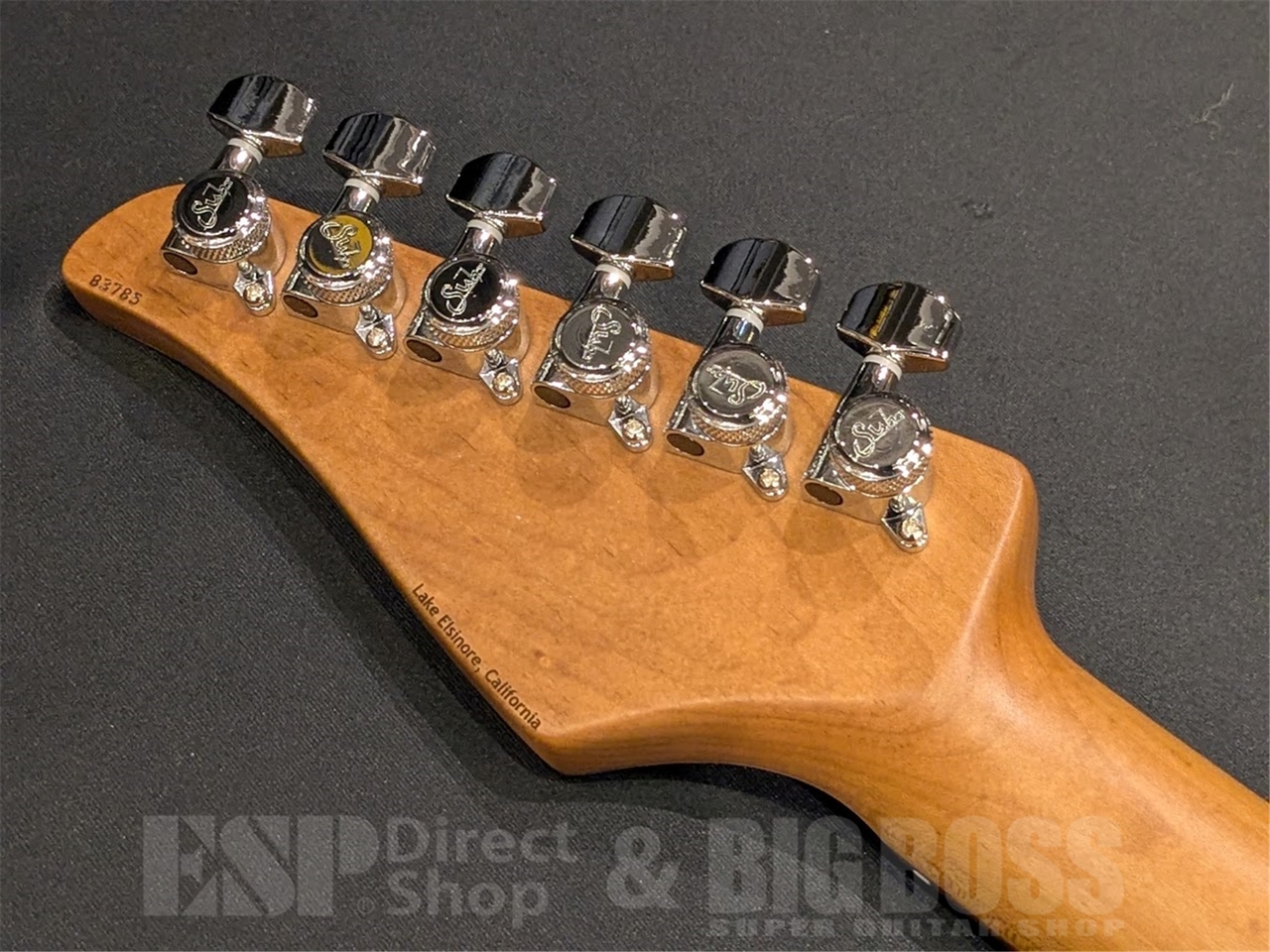 Suhr Standard Plus Matching Head / Trans Charcoal Burst / Pau
