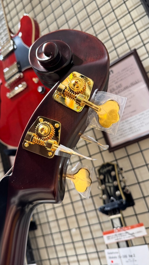 Landscape SWB-GAMBA AVC（新品/送料無料）【楽器検索デジマート】